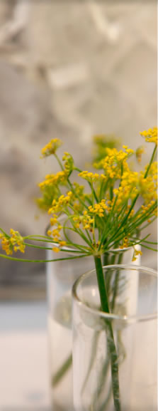 インフォメーション